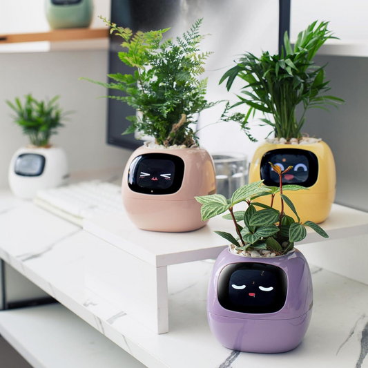 PlantPal - Smart Planter